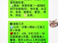 孕期身体不适无法坚持工作，公司请假流程和规定是怎样的？