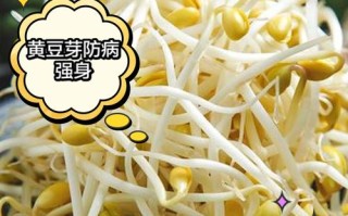 孕期血糖高能吃豆芽吗？