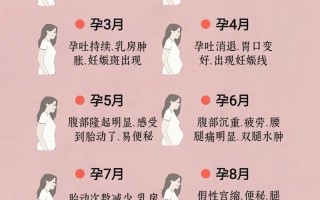 怀孕期间大家都在做些什么？除了产检还有哪些必备事情要注意？