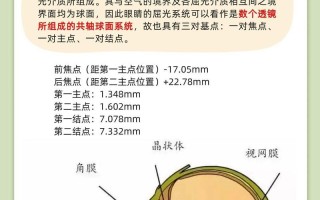儿童视力屈光不正，到底是啥问题？