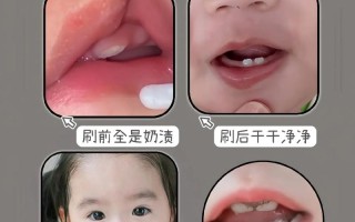 新生儿从出生就要刷牙？新手爸妈必知的口腔清洁时间表！