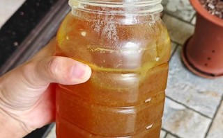 备孕期间吃蜂蜜安全吗？会不会影响受孕或胎儿健康？