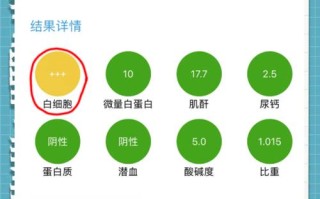 孕期尿检白细胞3+，是感染了吗？