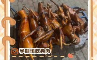 备孕期间吃狗肉会影响胎儿健康吗？有哪些潜在风险需要注意？