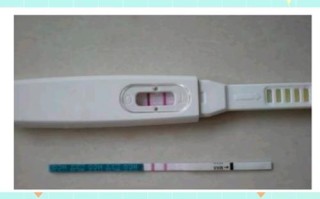 孕期血常规看男女准吗？科学依据是什么，可信度高吗？