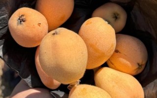 孕期咳嗽时，哪些水果能安全缓解不适，又有哪些需避免？