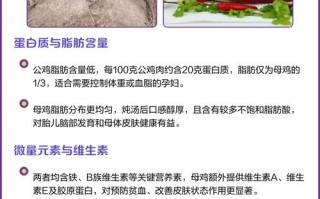 孕期进补选老母鸡还是公鸡？营养差异与胎儿发育影响大揭秘！