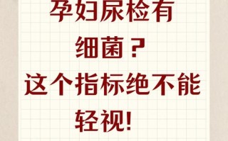 孕期尿液检查细菌超标