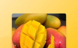 备孕期间可以吃芒果么