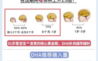 新生儿DHA何时开始补充？