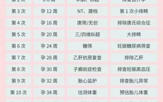 孕期检查到底要做几次？不同阶段的关键检查项目有哪些？