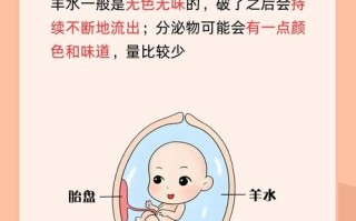 孕期分泌物和羊水到底如何区分？这两者究竟有何不同？