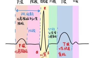 儿童心电图正常值范围会因年龄变化吗？不同年龄段儿童的心电图指标有何差异？