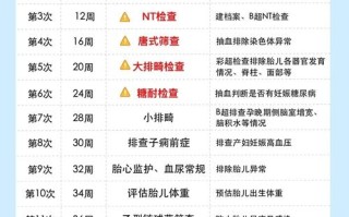 孕期前三个月检查项目