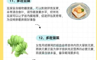 备孕吃什么能促排卵？