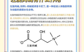 新生儿奶粉添加左旋肉碱，究竟是营养升级还是潜在风险？