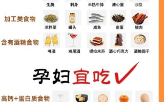 孕期营养怎么吃才科学？不同阶段饮食重点有何不同？
