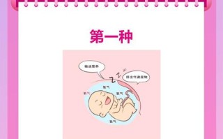 孕期羊水循环如何排出？羊水循环机制与排出途径详解