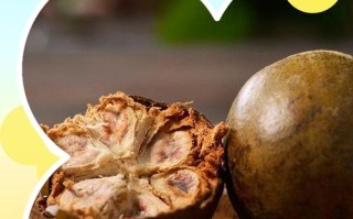 孕期咳嗽能不能喝罗汉果？对胎儿有影响吗？