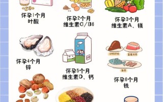 孕期二个月需要重点补充哪些营养素？叶酸、维生素D等怎么补才科学？