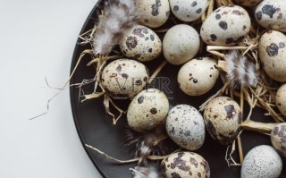 孕期梦到鹌鹑蛋真能预测胎儿性别吗？科学依据是什么？