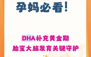孕期到底从第几周开始补充DHA最科学？胎儿大脑发育的关键期不能错过吧？