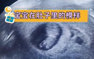 孕期60天宝宝有多大？