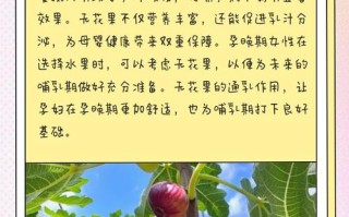 怀孕期间吃无花果到底安不安全？会对胎儿或孕妇身体有影响吗？