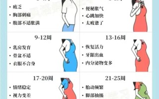 孕期反应最早何时开始？