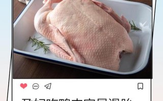 孕妇孕期能吃鸭货吗？