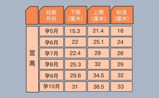 孕妇孕期腹围增长标准到底是多少？不同孕周的增长范围有何科学依据？