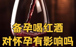 备孕期男性喝红酒真的安全吗？会对精子质量产生哪些潜在影响？
