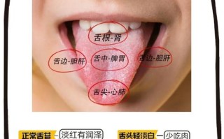 儿童舌苔厚口臭怎么办？日常护理与调理方法有哪些？