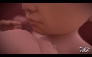 孕期33周胎儿发育情况如何？