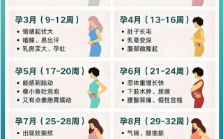 孕期肚子会慢慢变大，那到底是从哪个孕周开始明显鼓起来的呢？