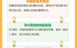 孕期五周要做什么检查