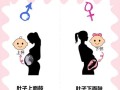 孕期肚子形状真能判断男女？科学依据还是民间迷信？