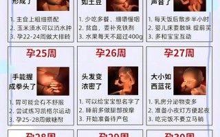 孕期四维彩超最佳时间何时做？