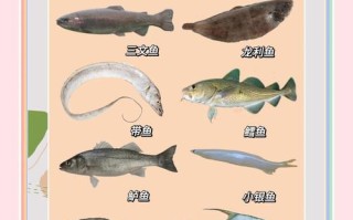 儿童感冒咳嗽能吃鱼吗？