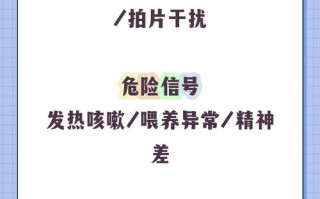 新生儿肺部纹理增多是什么意思