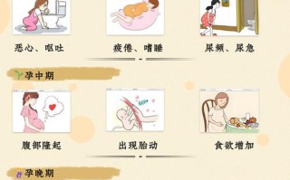 孕期乳房会一直胀痛吗