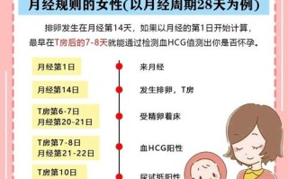 什么时候是女性最容易受孕的黄金时期？排卵日前后几天同孕率最高？