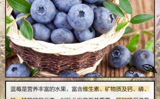 孕期吃蓝莓，胎儿受益有哪些？