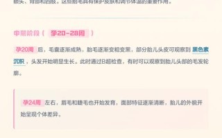 孕期胎儿几个月开始长头发？头发发育全过程是怎样的？