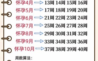 女人什么时候最容易受孕？排卵期与受孕黄金时间解析