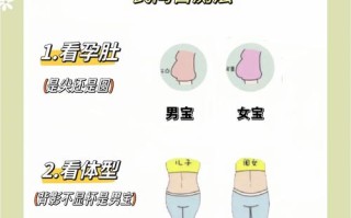 怀孕期间准确判断胎儿性别有哪些科学方法？