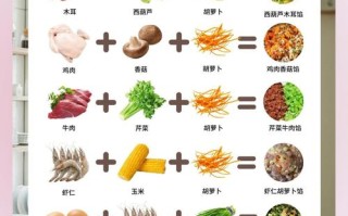 儿童饺子馅种类丰富多样，有哪些适合不同年龄段宝宝的健康选择呢？