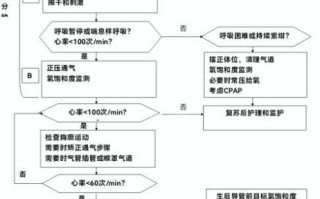 新生儿窒息抢救流程图的关键步骤与时间节点如何把控？