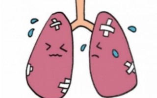 新生儿肺出血的致命风险究竟源自哪些生理机制与诱因？