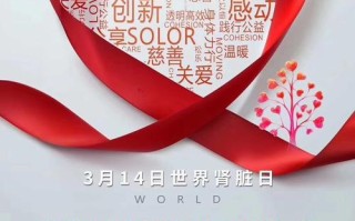 9958儿童紧急救助平台如何高效保障儿童生命安全？